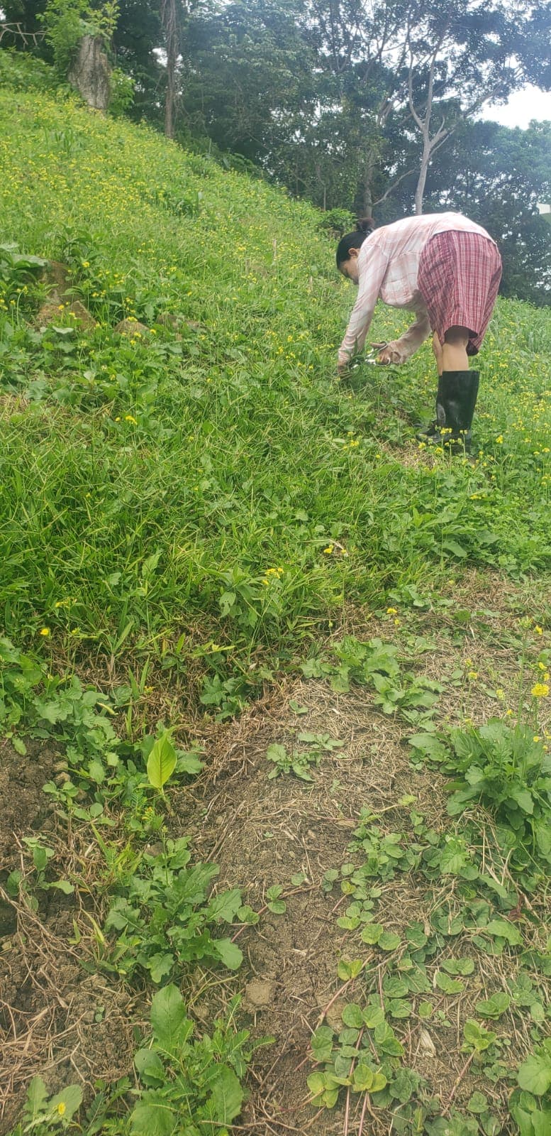 Embrace Sustainable Living In Panama